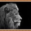 Animal Canvas Painting Wall Art Elephant Horse Lion Poster Prints Wall Pictures for Living Room Decor Home Decoration