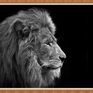 Animal Canvas Painting Wall Art Elephant Horse Lion Poster Prints Wall Pictures for Living Room Decor Home Decoration