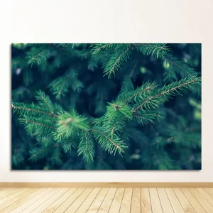 Lustful Pine