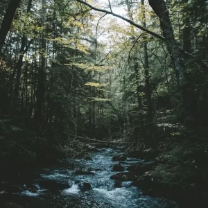 Let The River Run