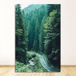 The Lost Forrest