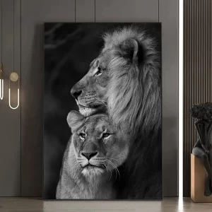A Lions Love