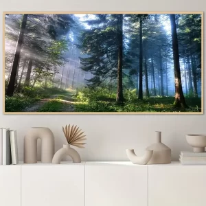 Lost In The Woods