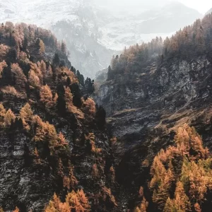 Fall Trails